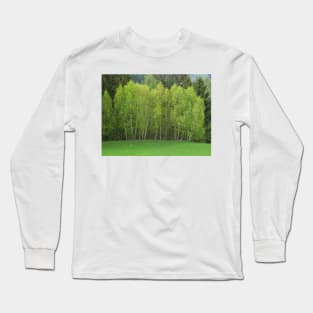 Spring Green - Birch Trees Long Sleeve T-Shirt